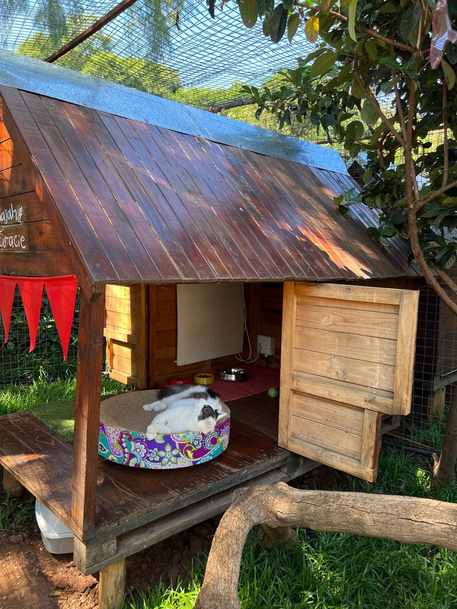 Deluxe Garden Villa, a wooden house on stilts